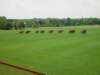 dsc04574_small.jpg