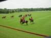 dsc04575_small.jpg