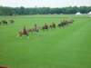 dsc04580_small.jpg