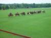 dsc04581_small.jpg