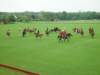 dsc04582_small.jpg