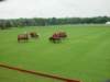 dsc04585_small.jpg