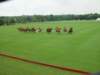 dsc04586_small.jpg