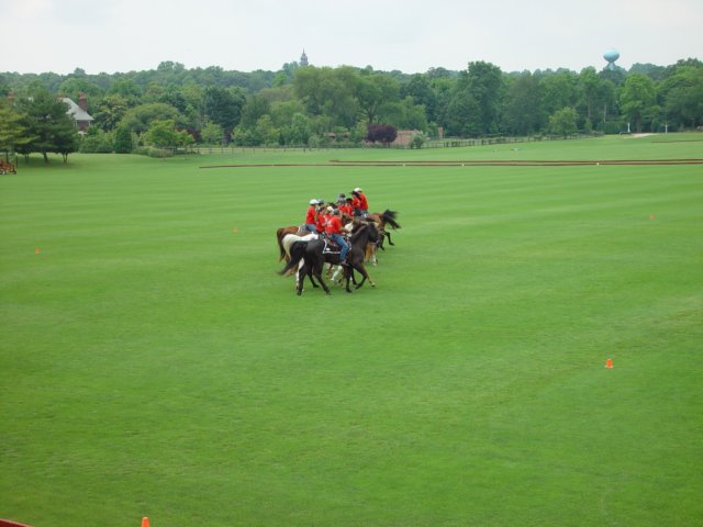 dsc04588.jpg