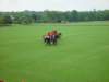 dsc04588_small.jpg