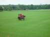 dsc04589_small.jpg