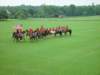 dsc04590_small.jpg