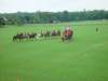 dsc04591_small.jpg