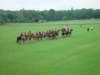 dsc04594_small.jpg