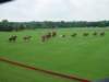 dsc04597_small.jpg