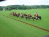 dsc04599_small.jpg