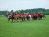dsc04601_small.jpg