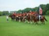 dsc04602_small.jpg