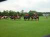 dsc04611_small.jpg