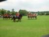 dsc04613_small.jpg