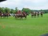 dsc04614_small.jpg