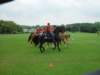 dsc04615_small.jpg