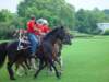 dsc04617_small.jpg