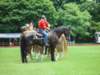 dsc04618_small.jpg