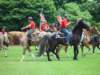 dsc04619_small.jpg