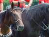 dsc04623_small.jpg