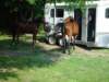 dsc04630_small.jpg