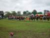 pumpkinfest175_edited1_small.jpg