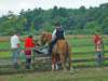 pumpkinfest227_edited1_small.jpg