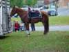 smithownfd100004_edited1_small.jpg