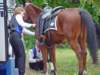 smithownfd100018_edited1_small.jpg