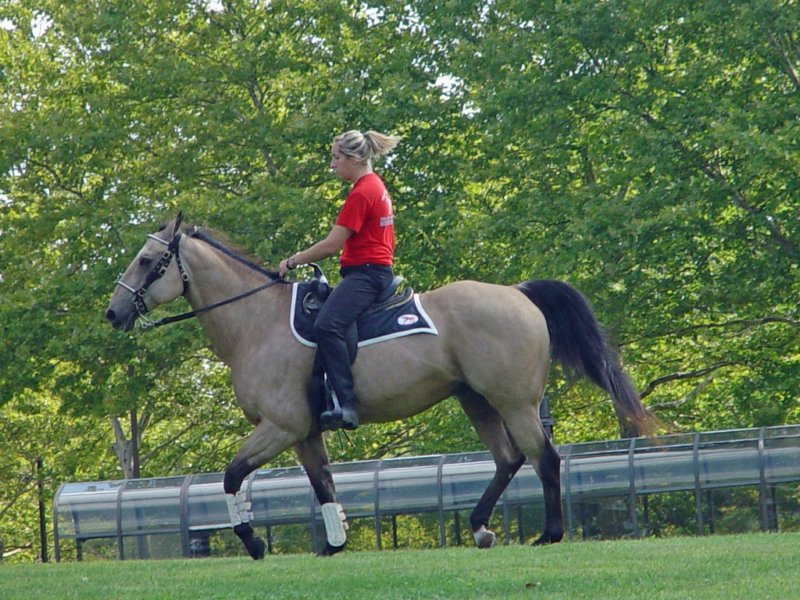 dsc08676_edited1.jpg