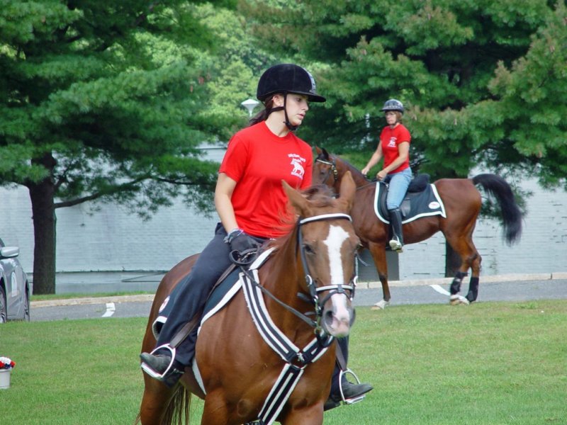 dsc08688_edited1.jpg