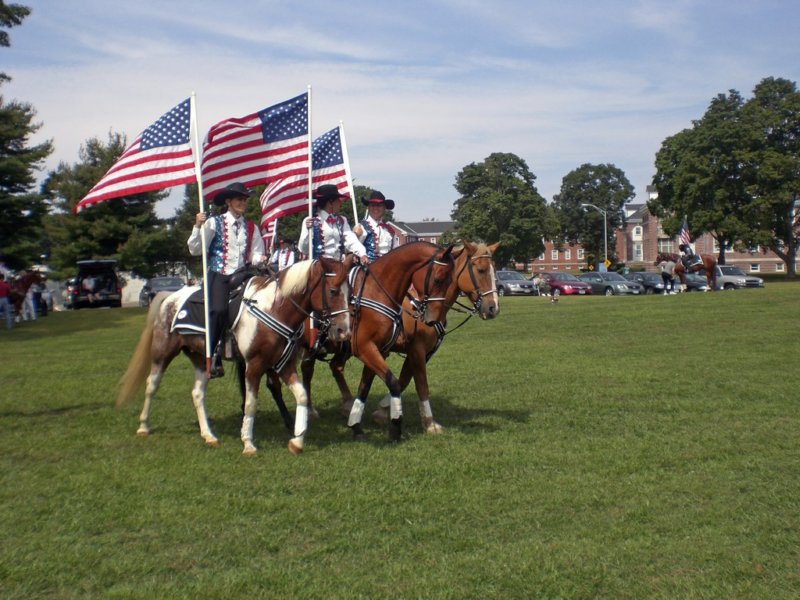 northport090709011_edited1.jpg