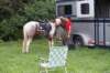 img_7456_edited1_small.jpg