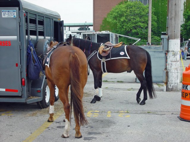 belmont052409031_edited1.jpg