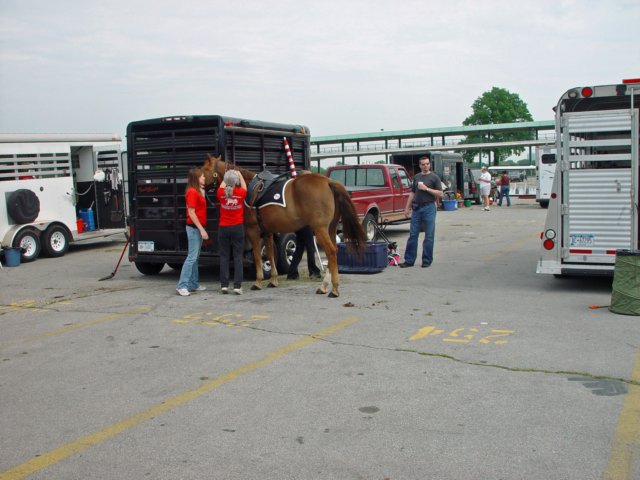 belmont052409035_edited1.jpg
