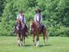 oldwestburygardens053109159_edited1_small.jpg