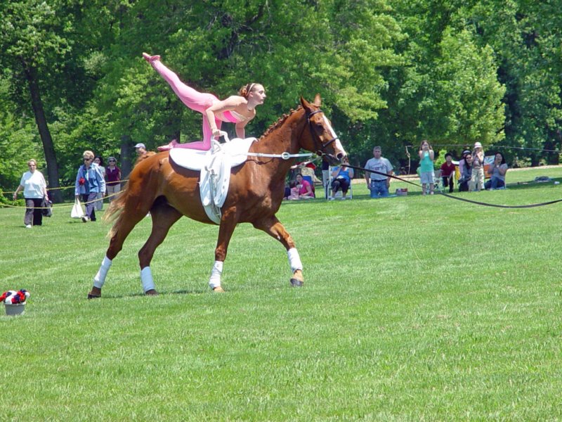 vaultingdemonstrationniceform.jpg
