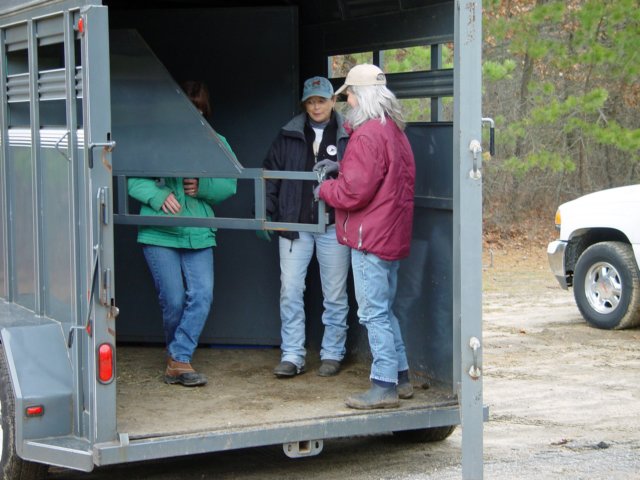 trailerrodeo040409034_edited1.jpg