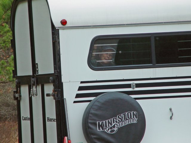 trailerrodeo040409045_edited1.jpg