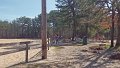 100_0088_edited-1
