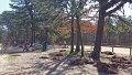 100_0089_edited-1