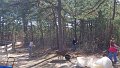 100_0090_edited-1