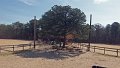 100_0097_edited-1