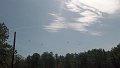 100_0110_edited-1