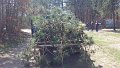 100_0117_edited-1