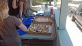 100_0119_edited-1