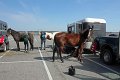 IMG_9256_edited-1