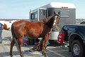 IMG_9257_edited-1