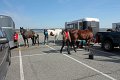 IMG_9258_edited-1